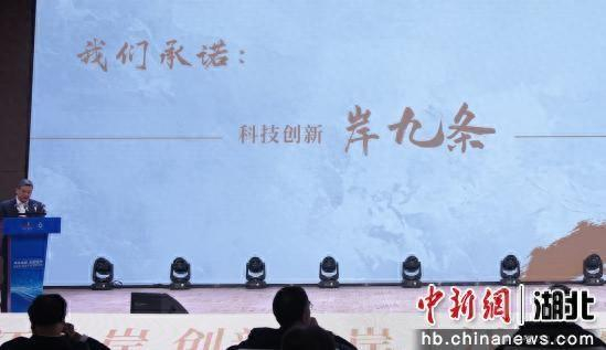 图为科创“岸九条”发布环节。 郑子颜 摄