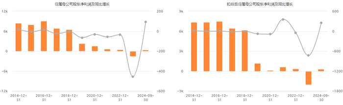 图片来源：*ST威帝上市以来利润情况