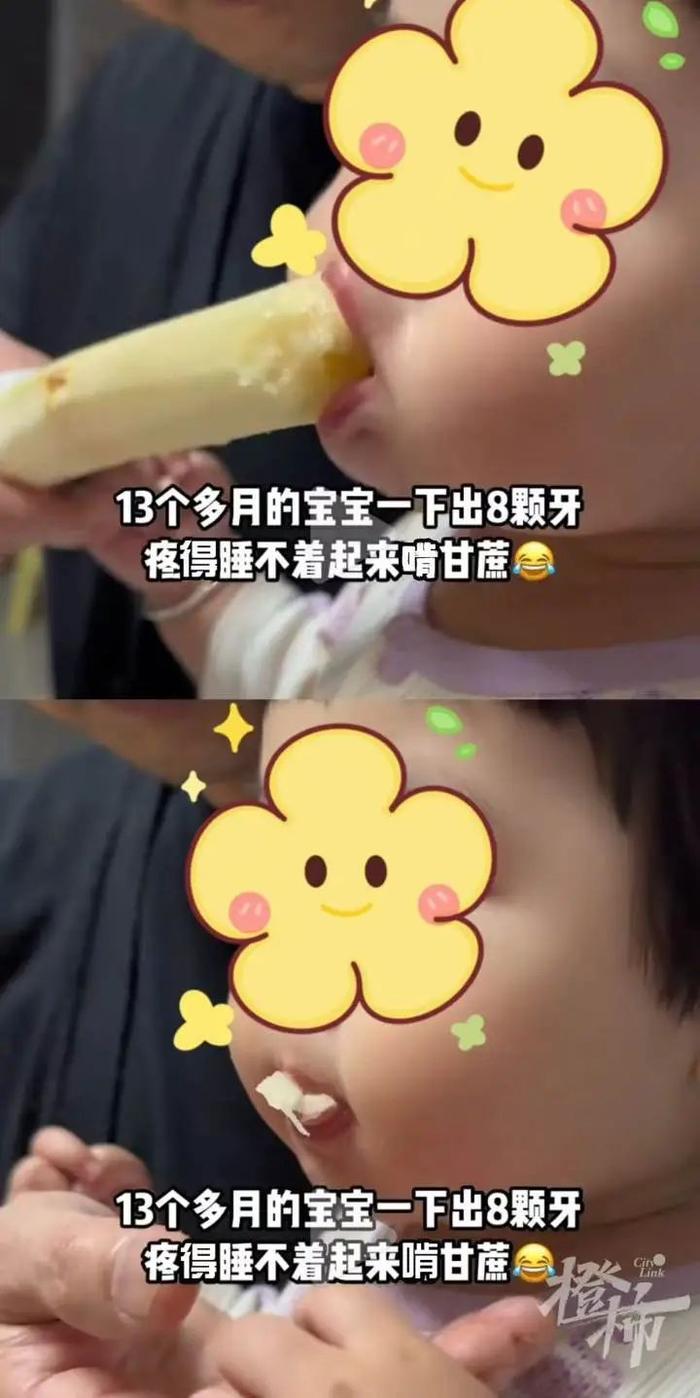 13个月宝宝出牙痛到睡不着，非要起来啃甘蔗！使用牙胶、磨牙棒能不能促进牙齿生长？