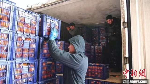 工人正在搬运道州脐橙。李勇 摄