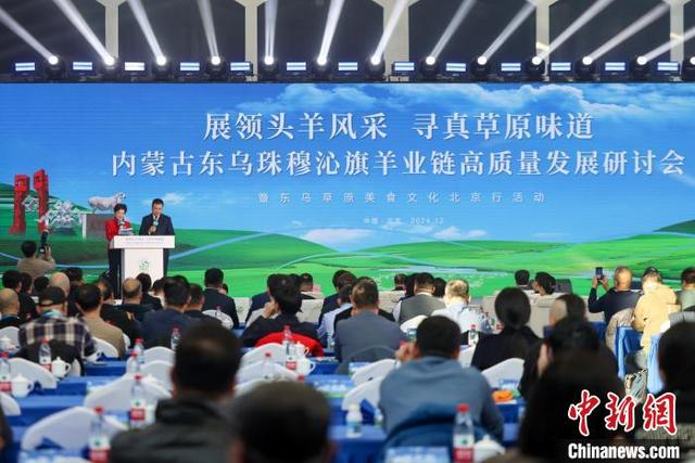 12月20日，北京，内蒙古东乌珠穆沁旗羊业链高质量发展研讨会现场 邓伟 摄
