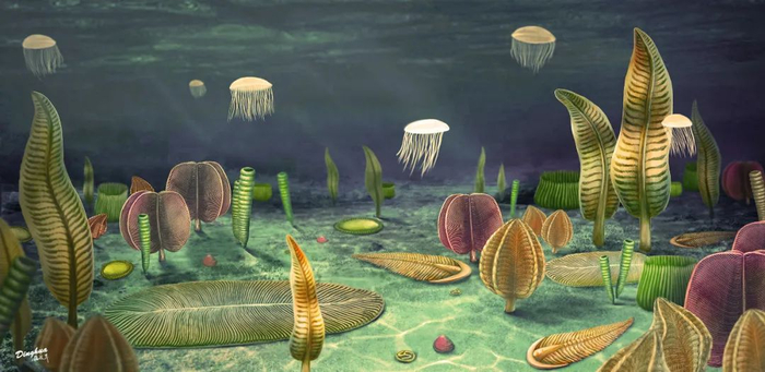 南京大学最新Science论文,利用AI揭示地球复杂生命早期演化奥秘|细胞生物|生物|生物多样性|化石|历程_新浪新闻