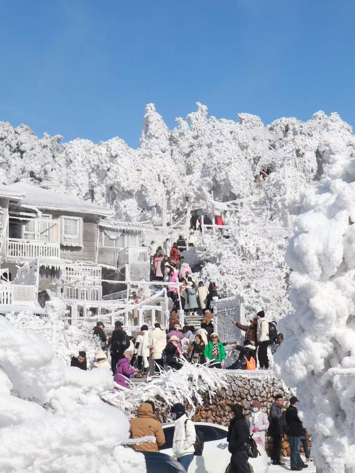 泰顺看雪图片