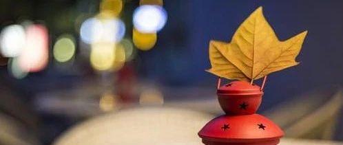 离婚了才明白，女人最亲的人并不是孩子和老公，而是这个人