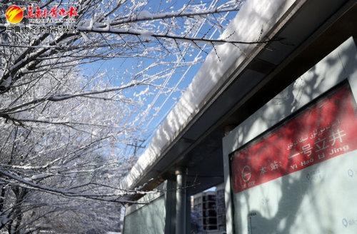 　　一号立井公交车站（12月19日摄）。 记者王畅彤摄