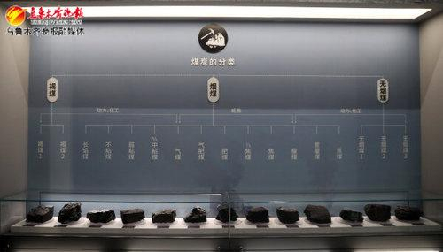 　　新疆地质矿产博物馆内展出的煤炭（12月19日摄）。 记者王畅彤摄