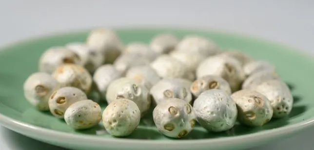 南酸枣果核。图库版权图片，转载使用可能引发版权纠纷