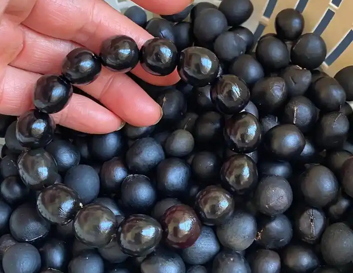 无患子手串 | 来源：抖音@侃侃