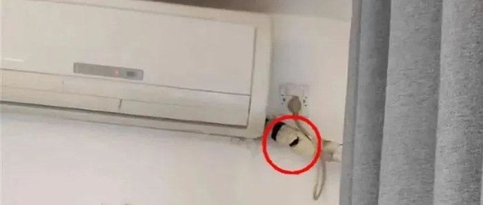 ▲曝光视频截图