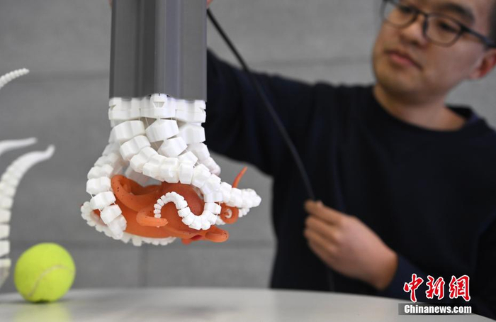 SEO蜘蛛抓取网站的技巧 网站如何快速被百度蜘蛛收录