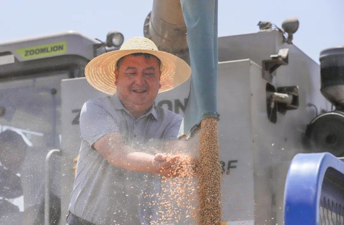 △丰收农忙时的晁贞良。（图片由受访者提供）