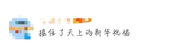 隔着屏幕都觉得此次的新年设计真的非常的精致和幸福呢…