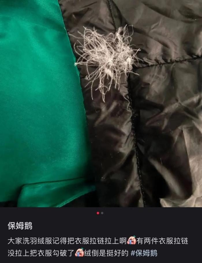 羽绒服长虫子图片大全图片