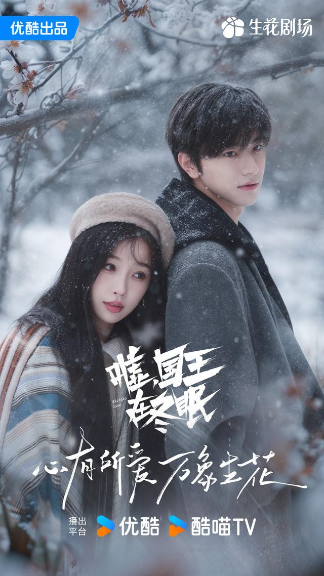 《嘘国王在冬眠》海报