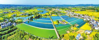 四川农商银行支持的绵阳市一水产养殖园。