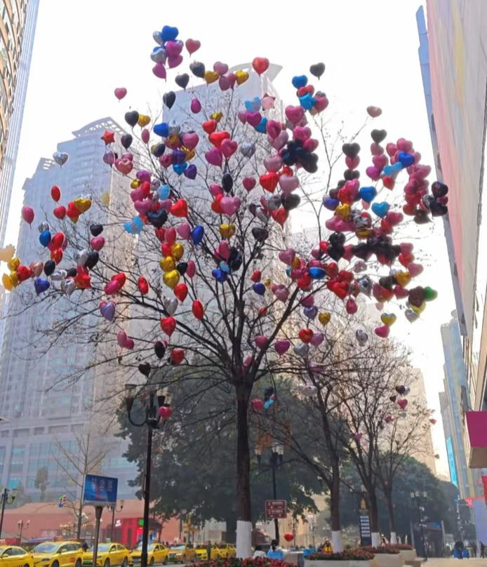 气球树（图据网友）
