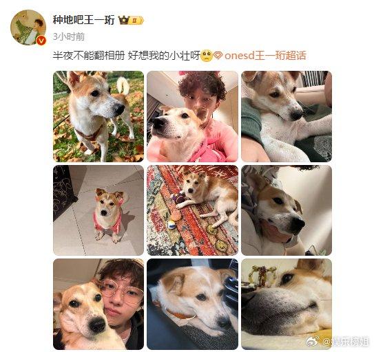 小壮肯定也很想你 快过年了，就可以看到小壮了吧！