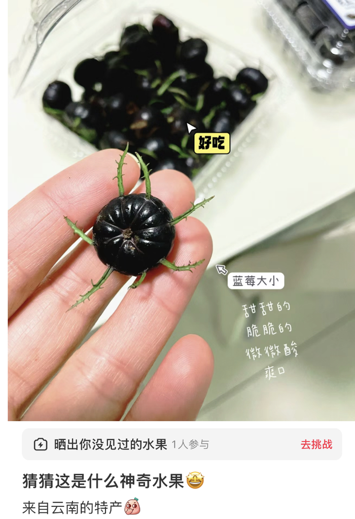 图源：小红书 杭州竹夏