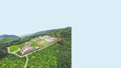 相国寺储气库集注站。