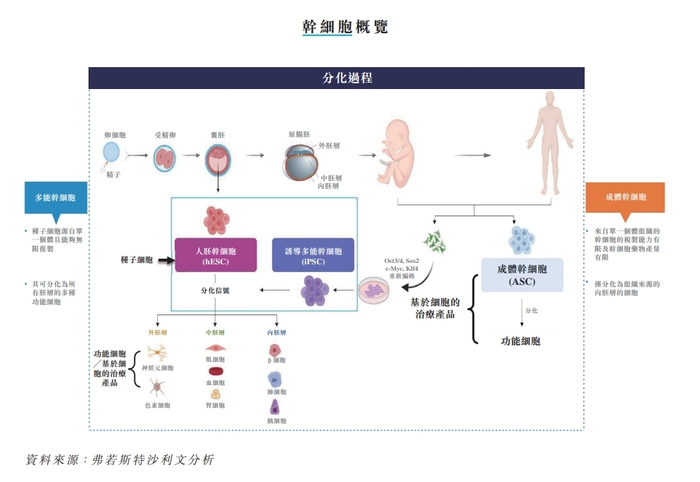 干细胞概览 来源：泽辉生物招股书