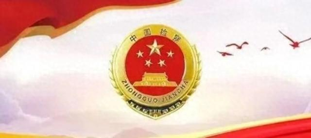 （山阳县人民检察院 李鸿斌）