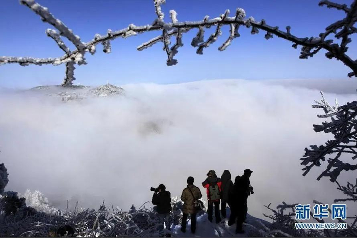 庐山雪景 来源：新华社