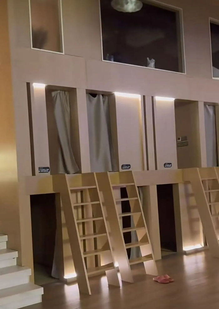 （图/@杉菜一汤）