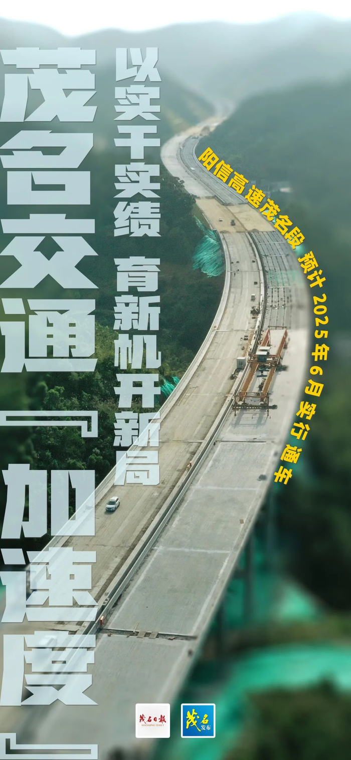 阳信高速茂名段旺竹坳2号大桥至鸭坑大桥航拍图。