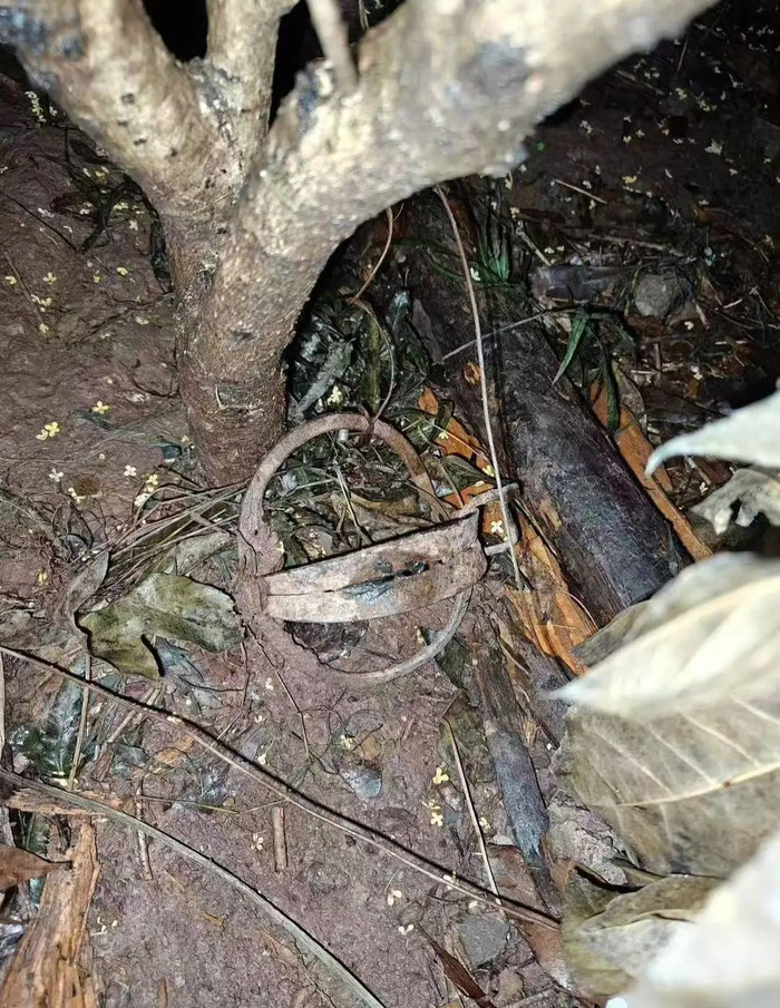 此前有业主在小区放置捕兽夹。受访者供图