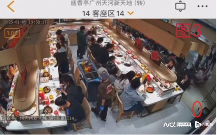 标圆处为老鼠，疑似从门店外跑入。盛香亭方提供的监控图