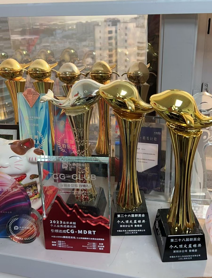 （鲁晓岩从业以来的部分获奖奖杯，受访者供图）