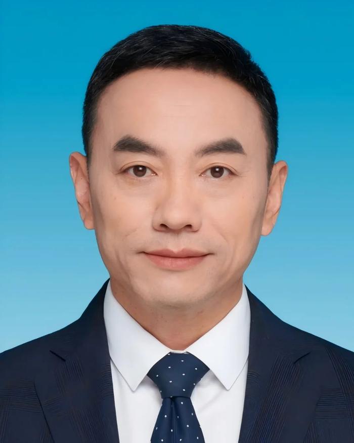 此前,孙迎新历任中国软件与技术服务股份有限公司高级副总经理,中国