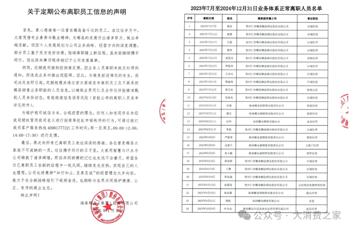 图片来源：海南椰岛官方公告