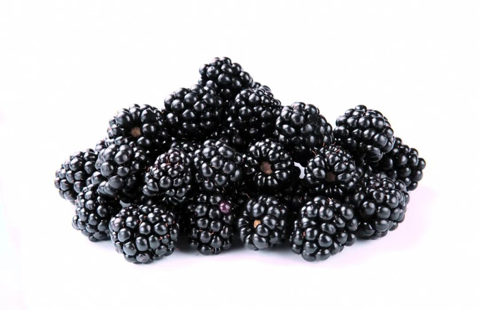 版权图库图片，转载使用可能引发版权纠纷