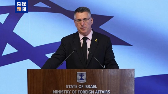 △以色列外交部长萨尔（资料图）