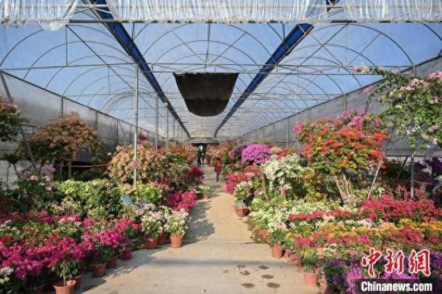 图为广州花博园。广州市荔湾区委宣传部 供图