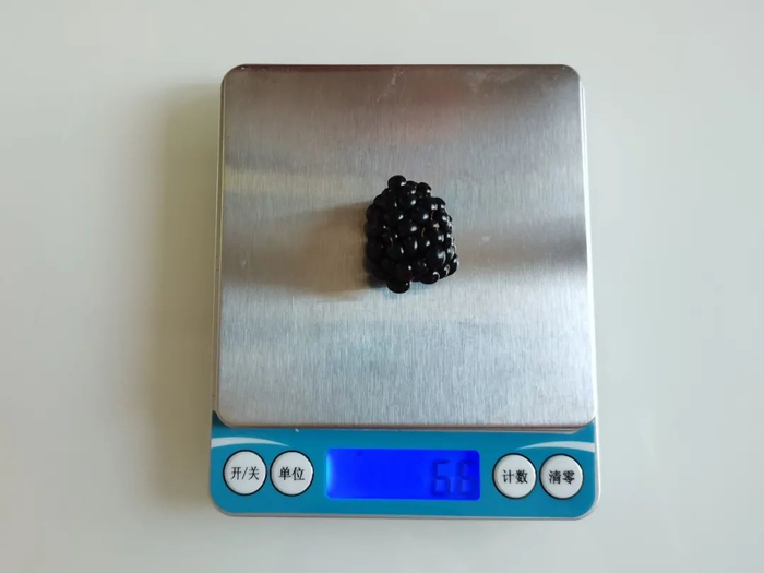 1 颗黑莓约 6 克丨薛庆鑫摄