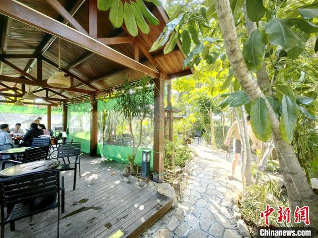 图为隘头村里温泉泳池休闲区。中新网记者 林永传 摄