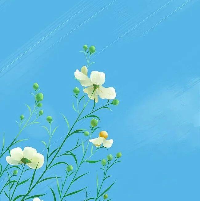 七言 | 偶遇