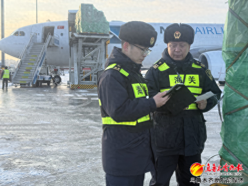 　　1月9日，乌鲁木齐地窝堡机场海关关员监管乌鲁木齐—伊斯坦布尔定期国际货运航线出境货物。通讯员赵蓓菁摄