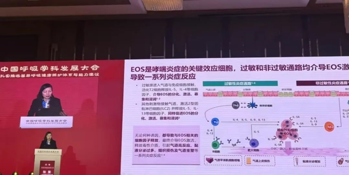 2025中国呼吸学科发展大会 | 重度哮喘新突破!张旻教授详解精准靶向治疗策略__财经头条__新浪财经