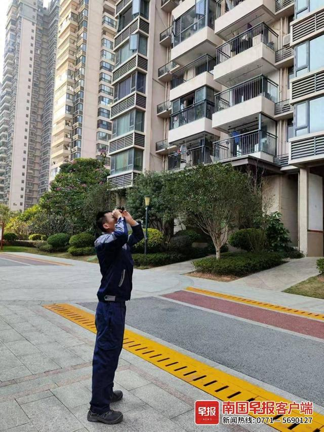 南宁一小区的物管人员通过望远镜观察是否有马蜂窝。 受访者供图
