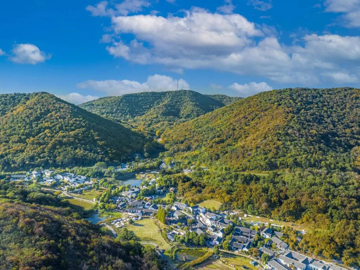 老山下的不老村。