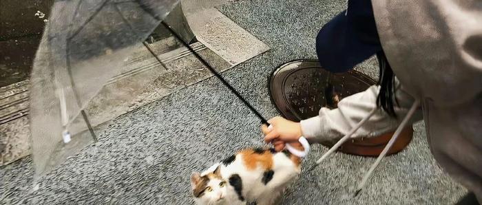 婚姻里，这三种女人的丈夫“走得早”，很准