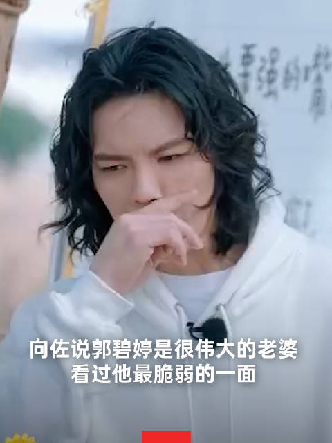 向佐说郭碧婷是伟大的老婆