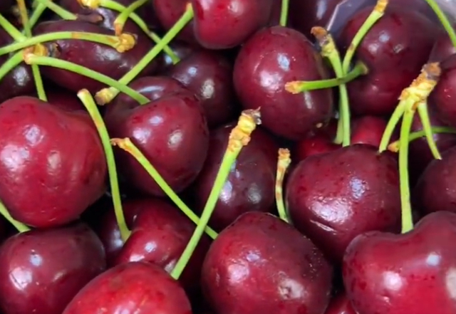 车厘子图片 视频截图 