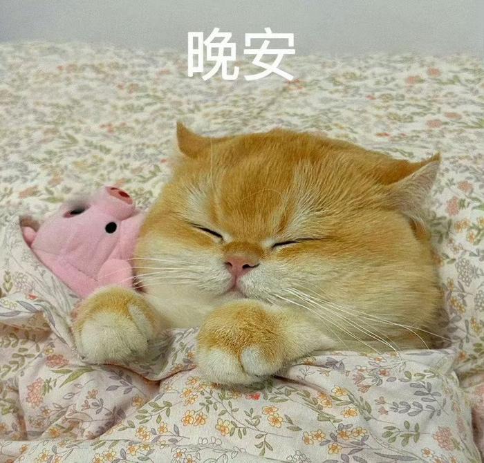 宝宝们早上好呀～ 休赛期来啦，大家最想和哪位选手在直播间见面呢
