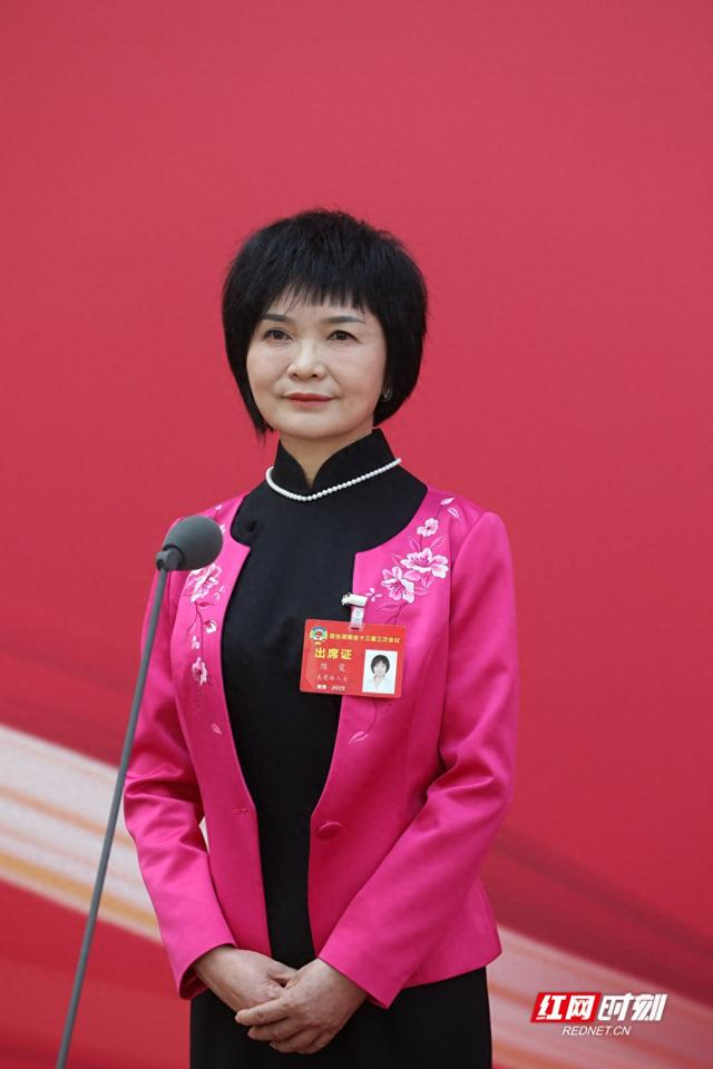 陈雯:用科技"点石成金",推动湖南矿业绿色智能化发展丨直击委员通道