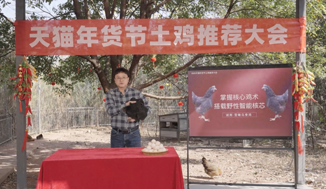 图说/天猫年货节举行土鸡推荐大会