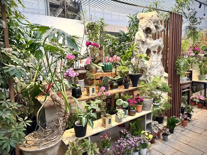 1月12日，北京花乡花卉创意园内一角。新华网记者 闫雨昕 摄